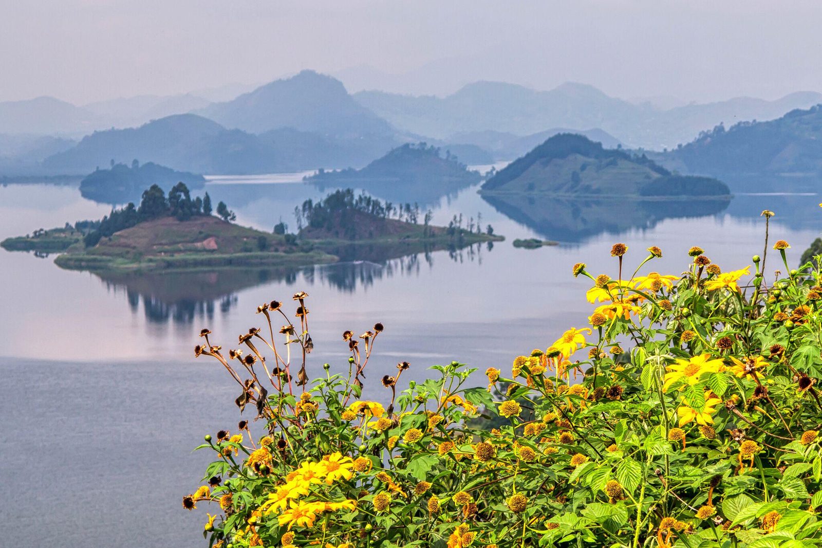 Islands of Lake Mutanda seen from Chameleon Hill Lodge